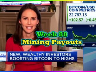 Week 88 | Mining Payouts 12/20/20