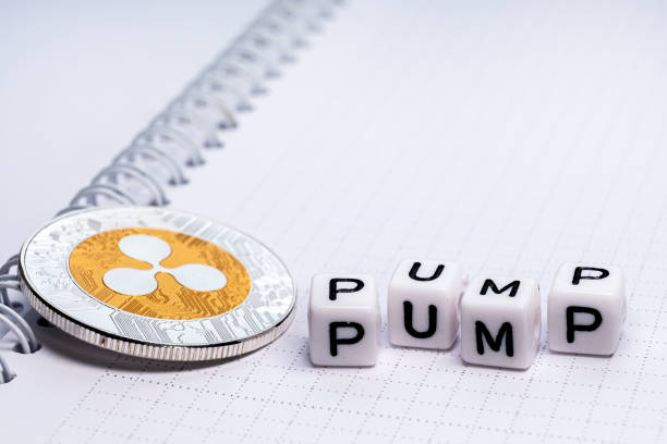 Expert Says If You Hold XRP, Pay Attention To These Things XRP